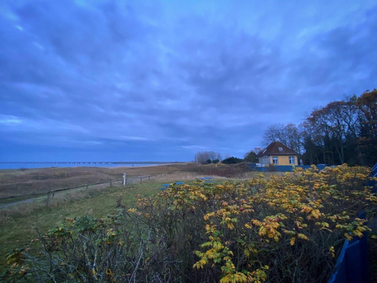 Skaerven Beachfront Apartments And Cottage Nyborg Exterior photo
