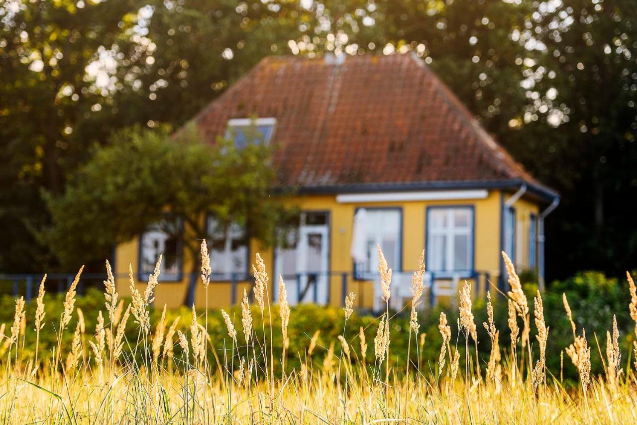 Skaerven Beachfront Apartments And Cottage Nyborg Exterior photo